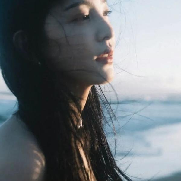 幻影追凶