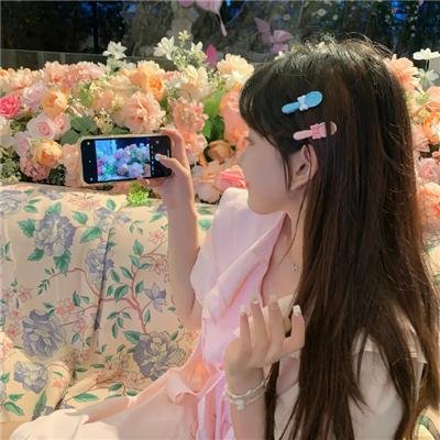 动画番剧