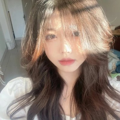 挪威的抵抗